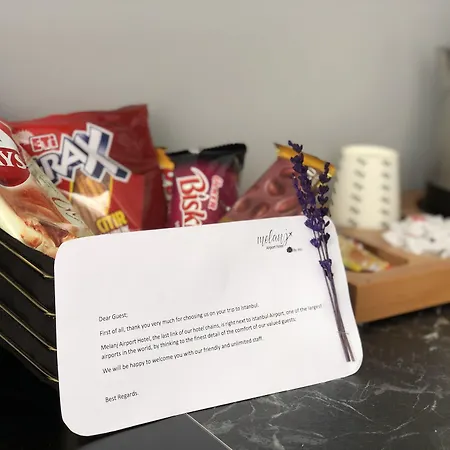 Melanj Airport Hotel 3*